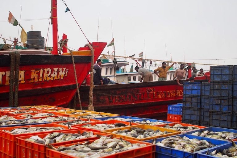 Experience the Magic of Cai Shen Fishing Game in Indian Online Casinos in India Experience the Magic of Cai Shen Fishing Game in Indian Online Casinos in India